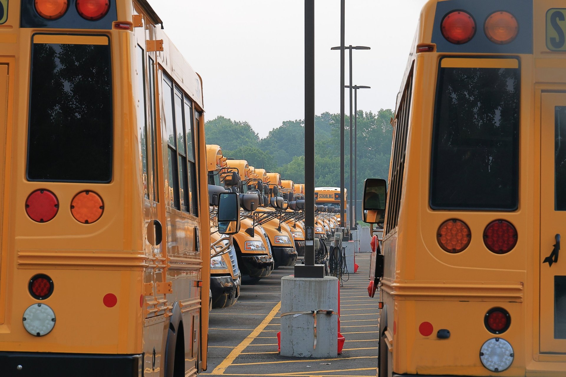 Yellow school buses lined up ready for back to school