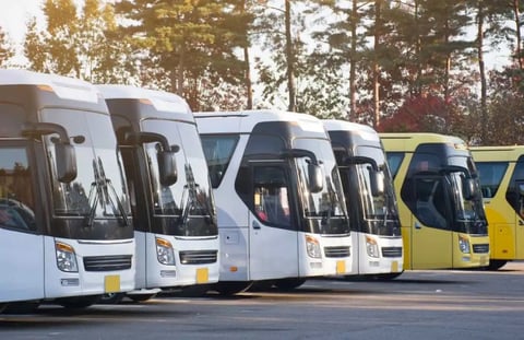 Row of parked tour buses in white and yellow, lined up in an outdoor lot with trees in the background